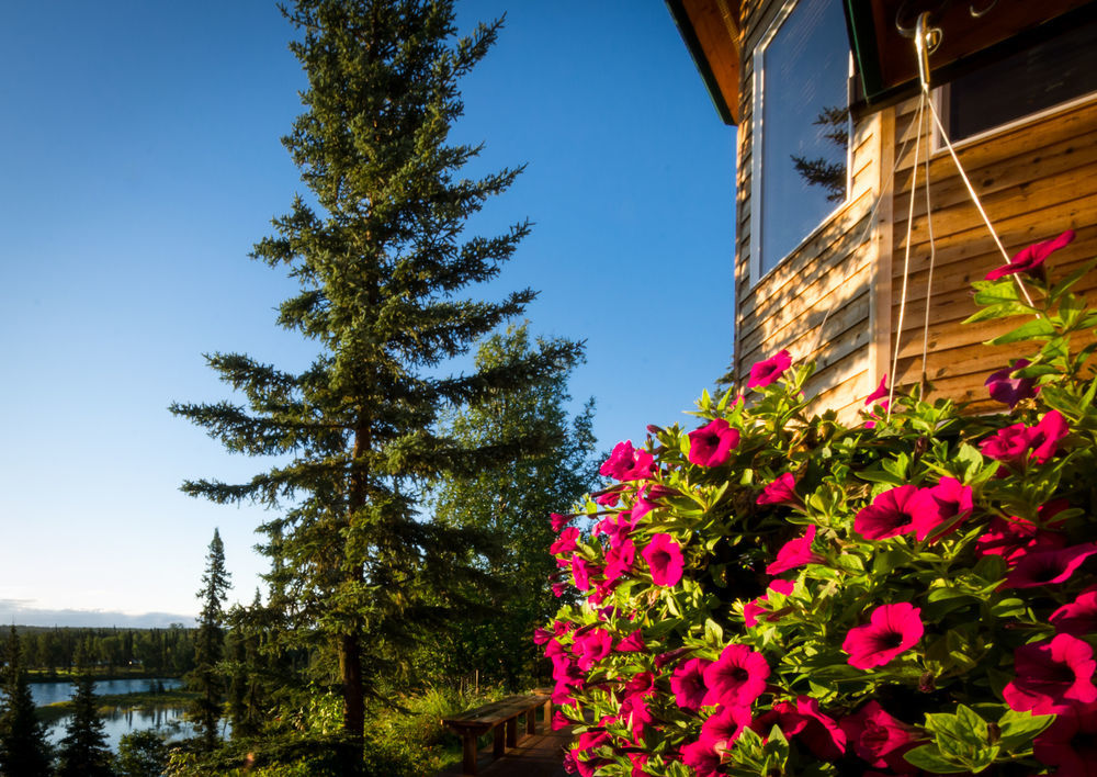 Gallery Lodge Kasilof Exteriér fotografie